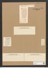Surirella baltica Schum. (de-Toni-Nr.: Genus 53, Species 2248) Zeichnungen Sammlung Grunow Nr. 4679 (NHMW-BOT-W0372751)